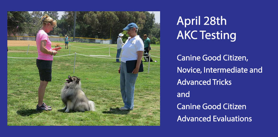 April 28th AKC Testing Canine Good Citizen, Novice, Intermediate and Advanced Tricks and Canine Good Citizen Advanced Evaluations